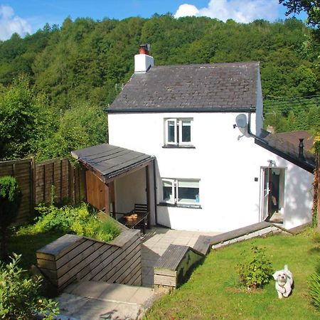 Peacock Cottage Cinderford Exterior photo