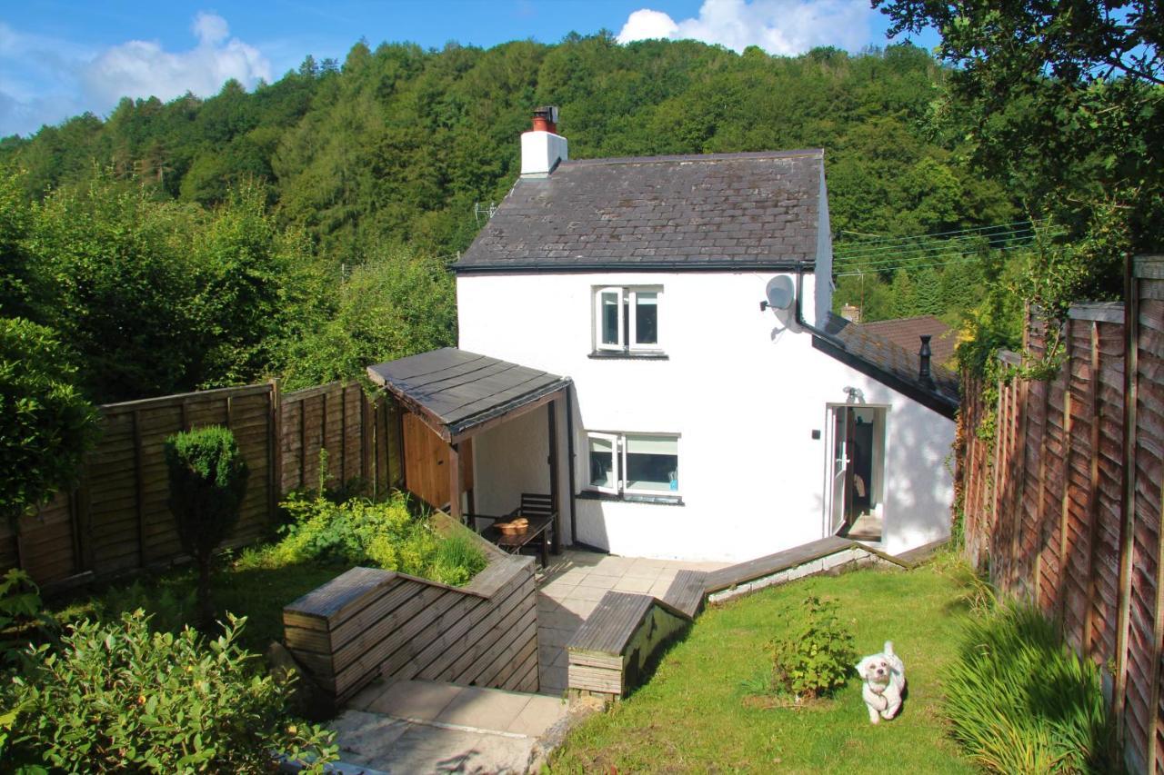 Peacock Cottage Cinderford Exterior photo